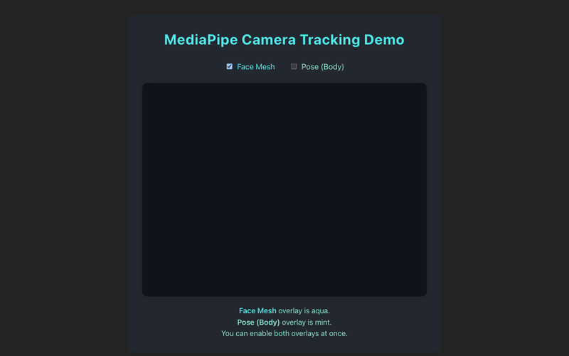 Three Prompts: MediaPipe Computer Vision Demo