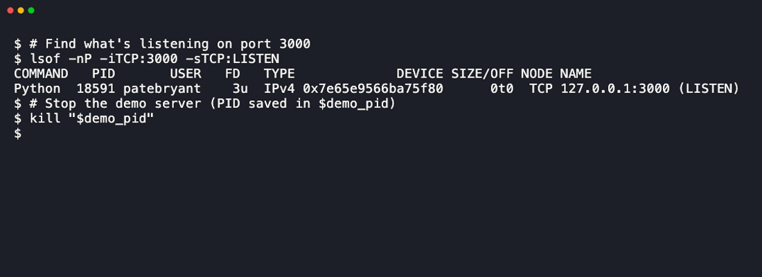 Terminal demo finding a server on port 3000 with lsof, stopping it, and confirming the port is free